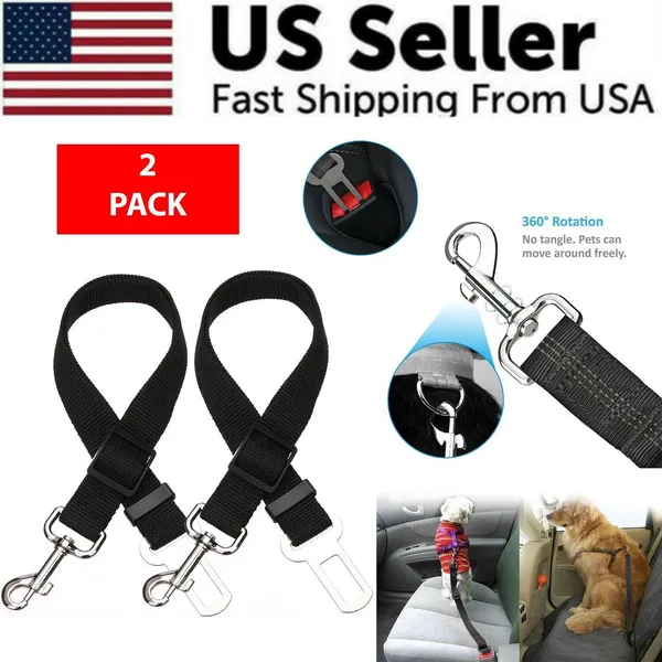 Car Seatbelt Tether