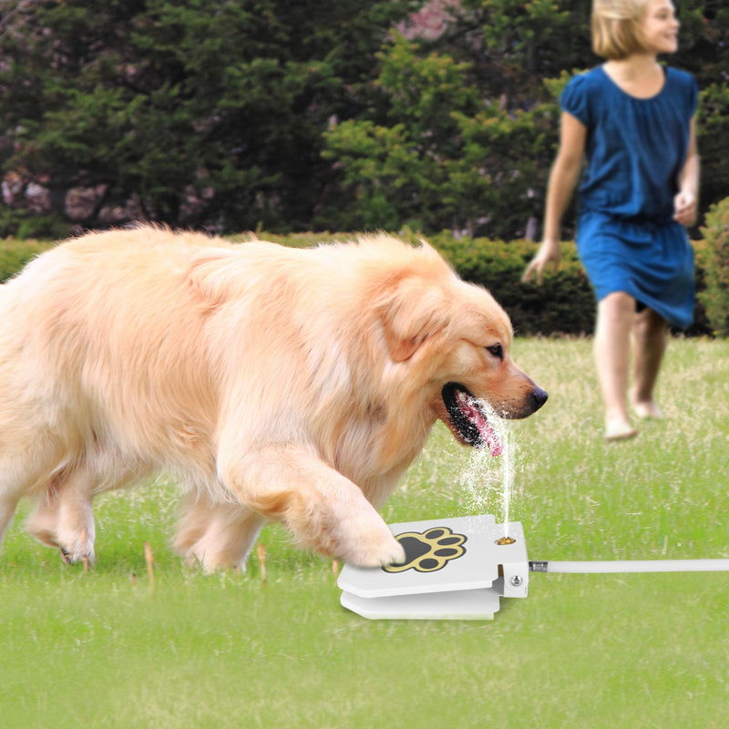 Paw-Activated Outdoor Fountain