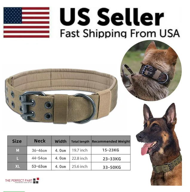 Wide Nylon Trail Collar — product view
